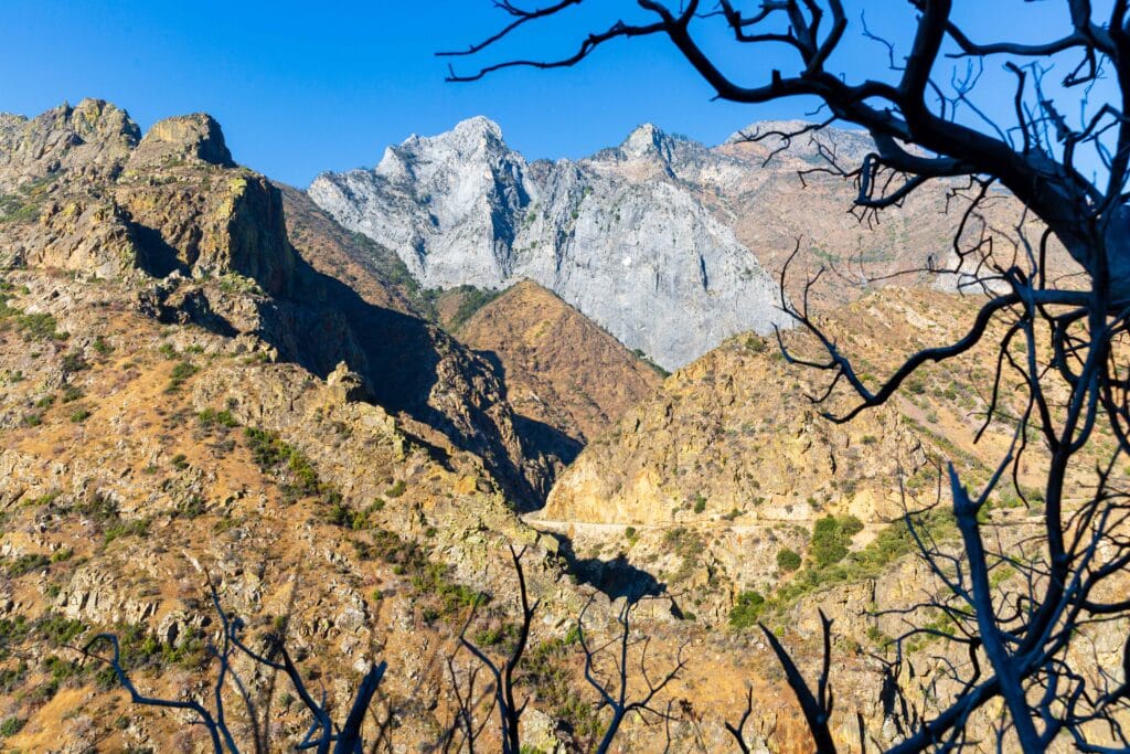 the winding road in kings canyon national park