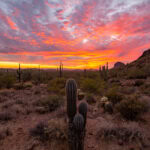 The 7 Best Things To Do in Mesa for an Adventure Lover