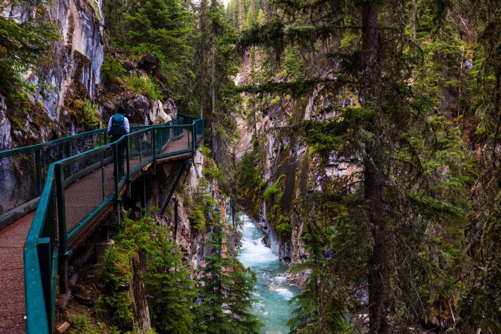 a hiker walks in johnston canyon 