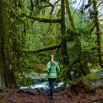 Trail Guide to Family-Friendly Twin Falls Hike Outside Seattle