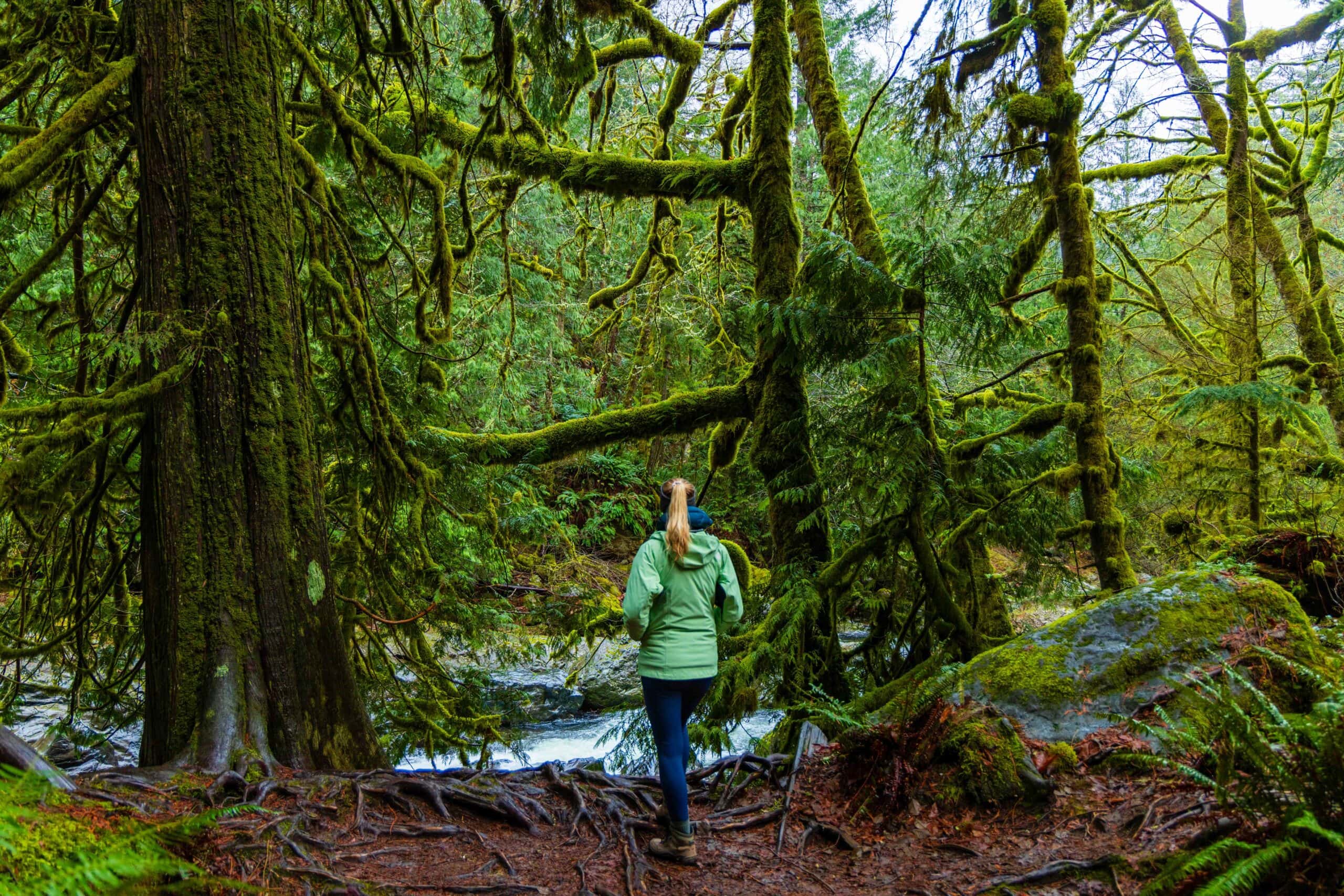 a hiker looks out at the river on the twin falls hike