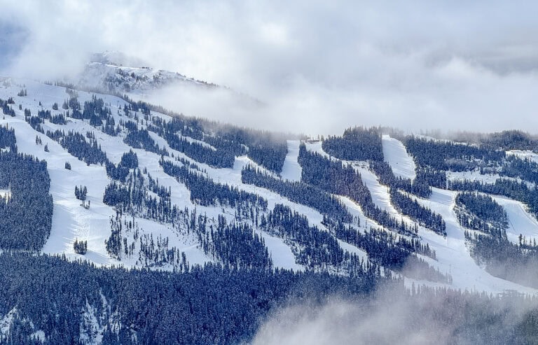 the view of whistler mountain ski slopes