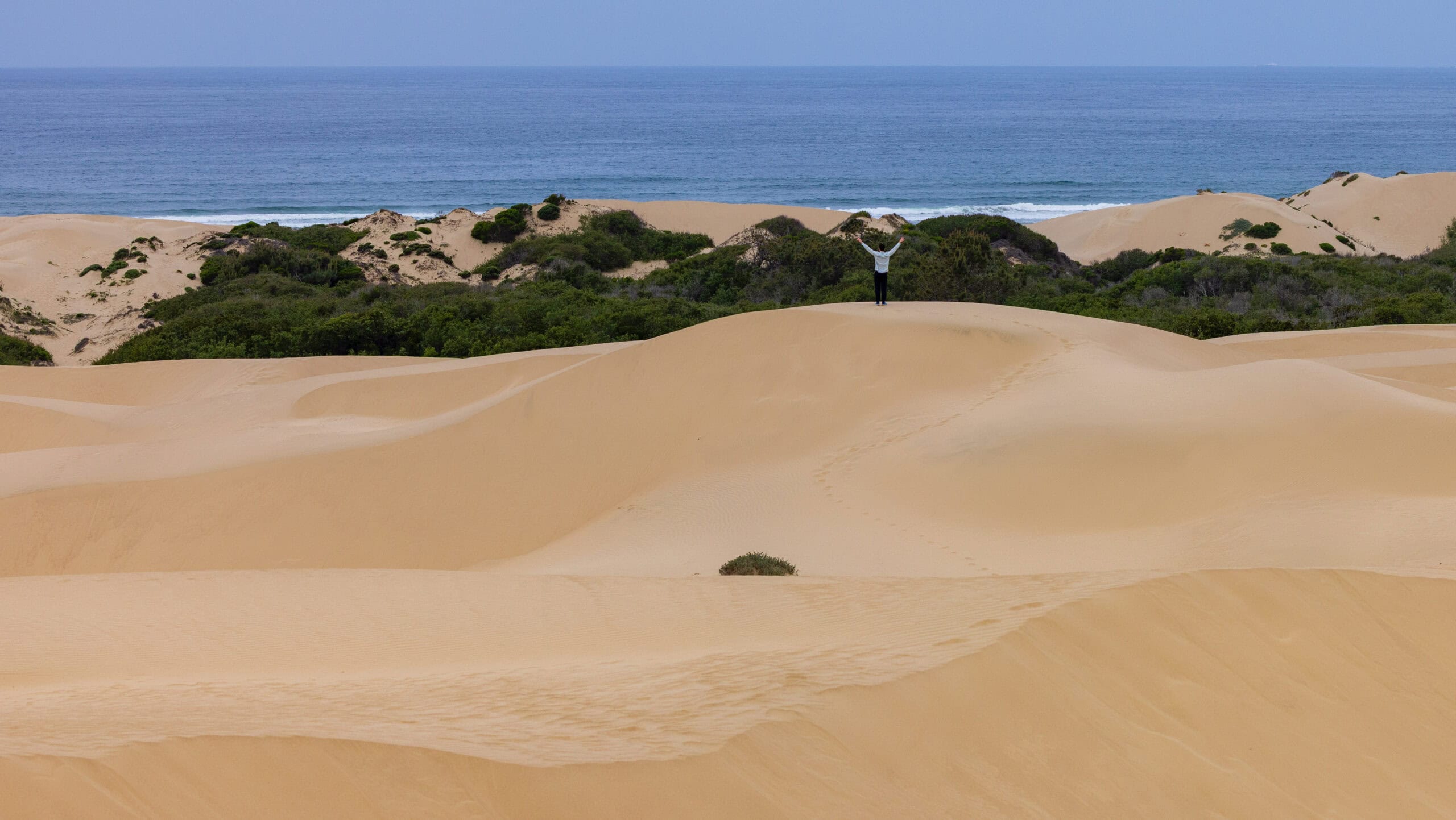 a hiker raises his hands on top of a sand dune near the ocean