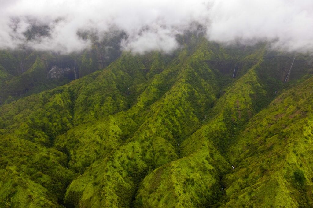 lush green landscape of kauai