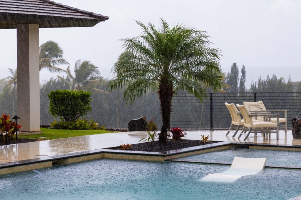 a rainy day in kauai with a palm tree in the middle 