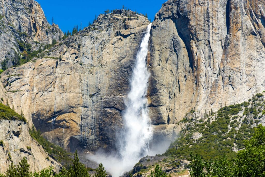 a view of upper yosemite falls from the meadows area in yosemite valley