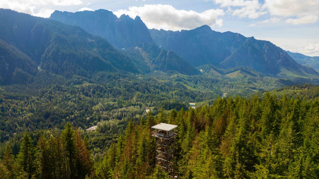 a fire lookout tower in Washington pokes out from the surrounding trees