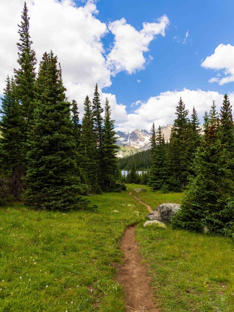 a trail cuts through the meadow and forest