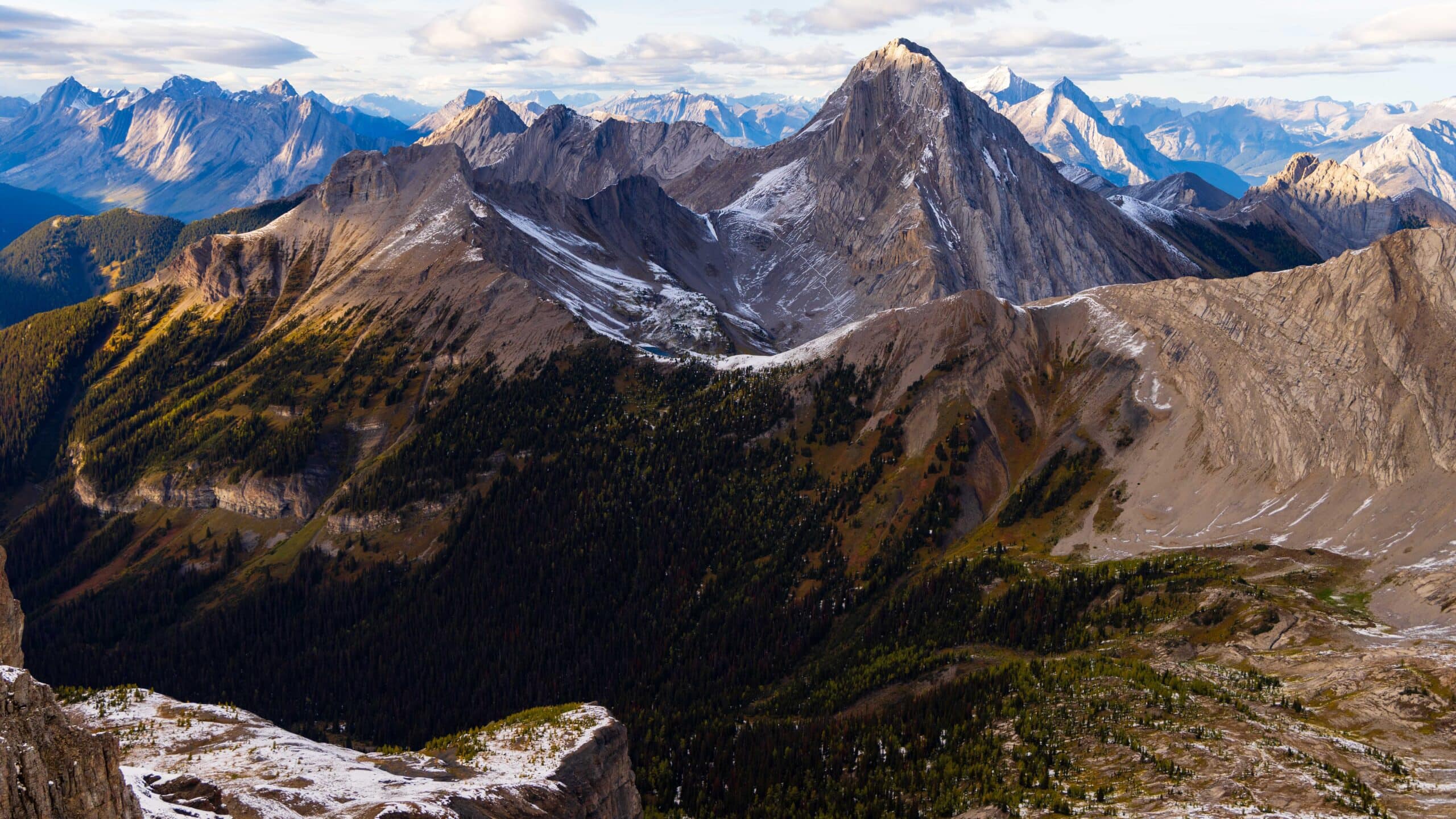 views of the Canadian rockies from snow peak. jagged peaks, some larch trees turning yellow
