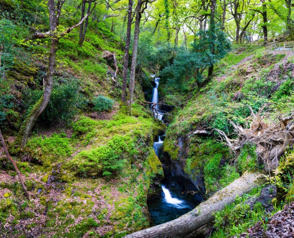 a waterfall runs inside a small canyon surrounded by lush green bushes and grasses and a log lays at the foreground of the image