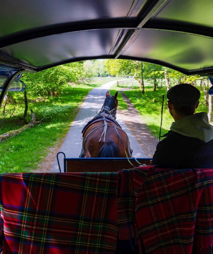 a view for inside a horse buggy, the driver and horse are in view