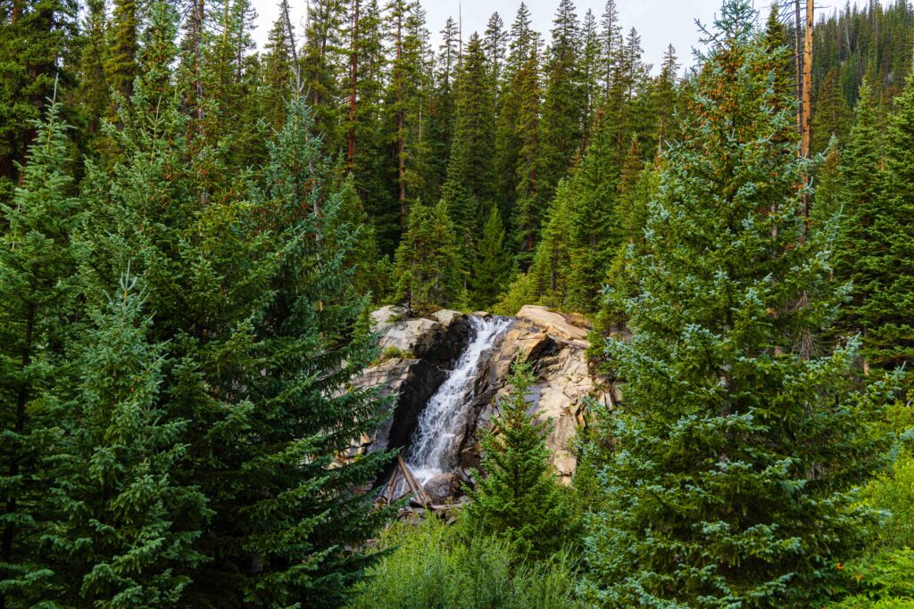 waterfall between green trees