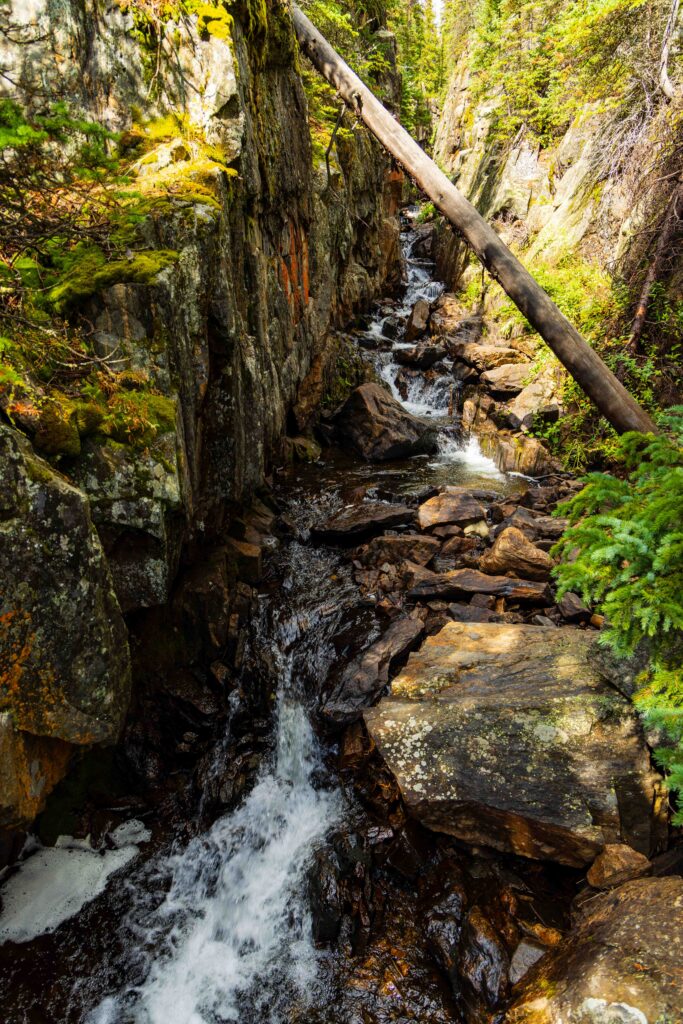 a stream flows towards the photographer with a large tree at a 45 degree angle