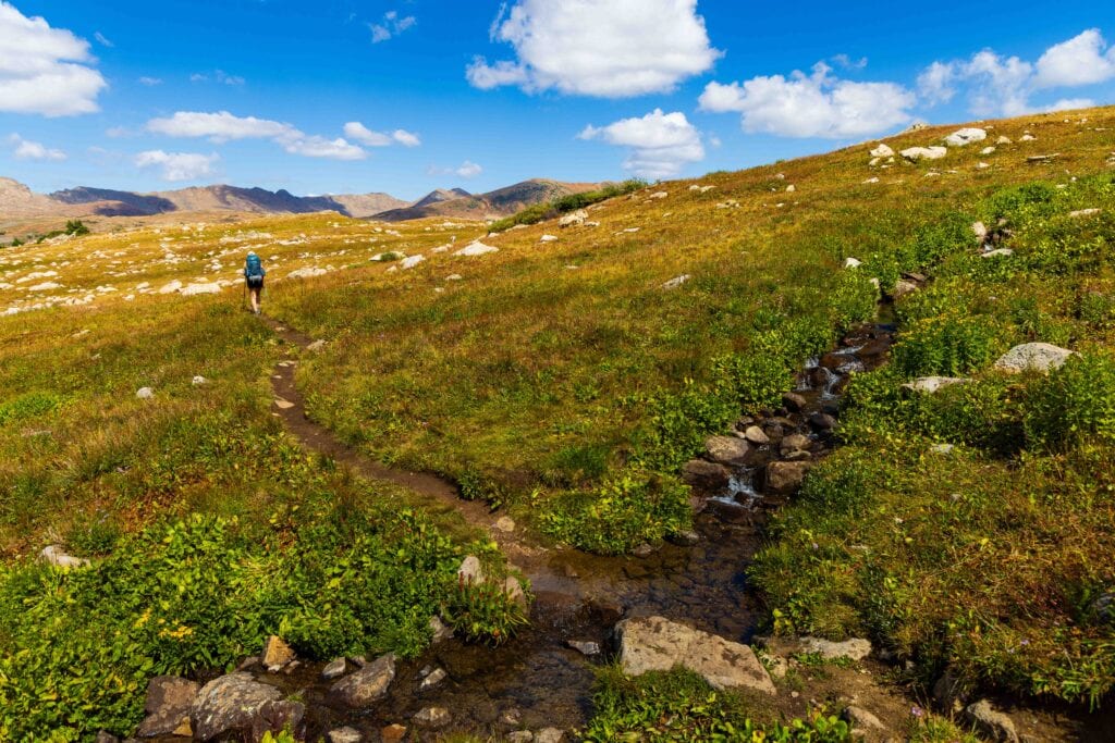 the trail cuts through a stream on the way to fancy pass
