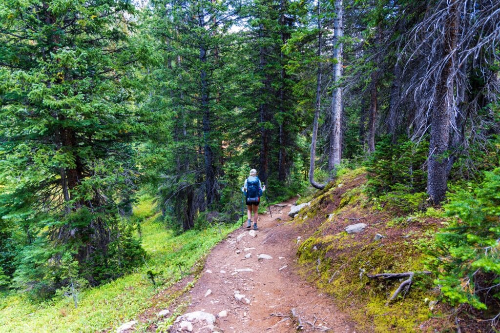 a hiker in the forest heading towards the fancy lake trailhead
