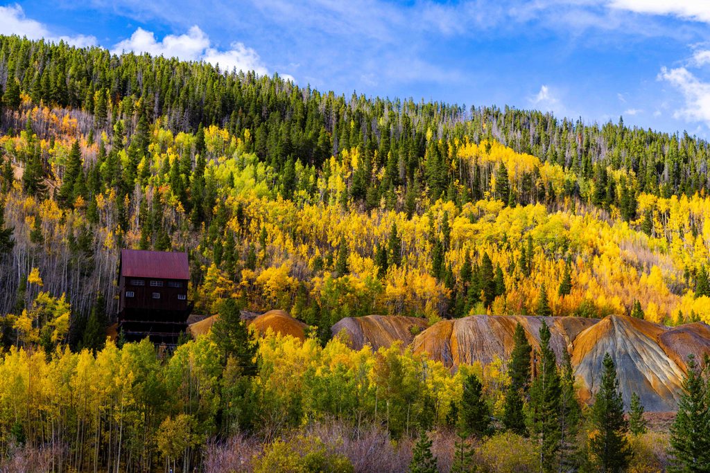 Minnie Mine surrounded by yellow aspens in breckenridge colorado
