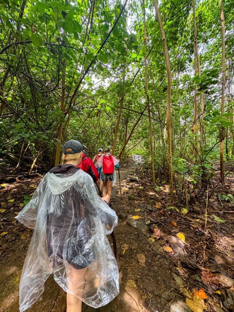 a hiker in a poncho hikes through the forest in hawaii