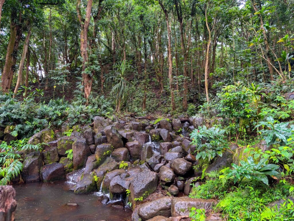 cascading waterfalls on rocks near secret falls
