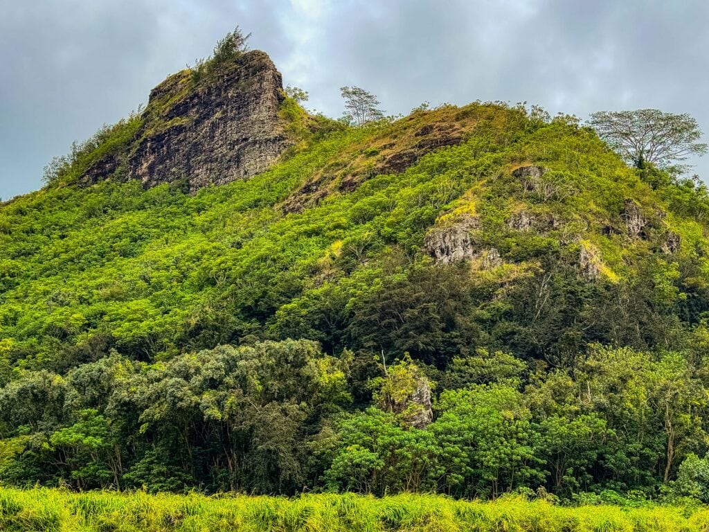 the green hills in kauai see on the secret falls kayaking tour