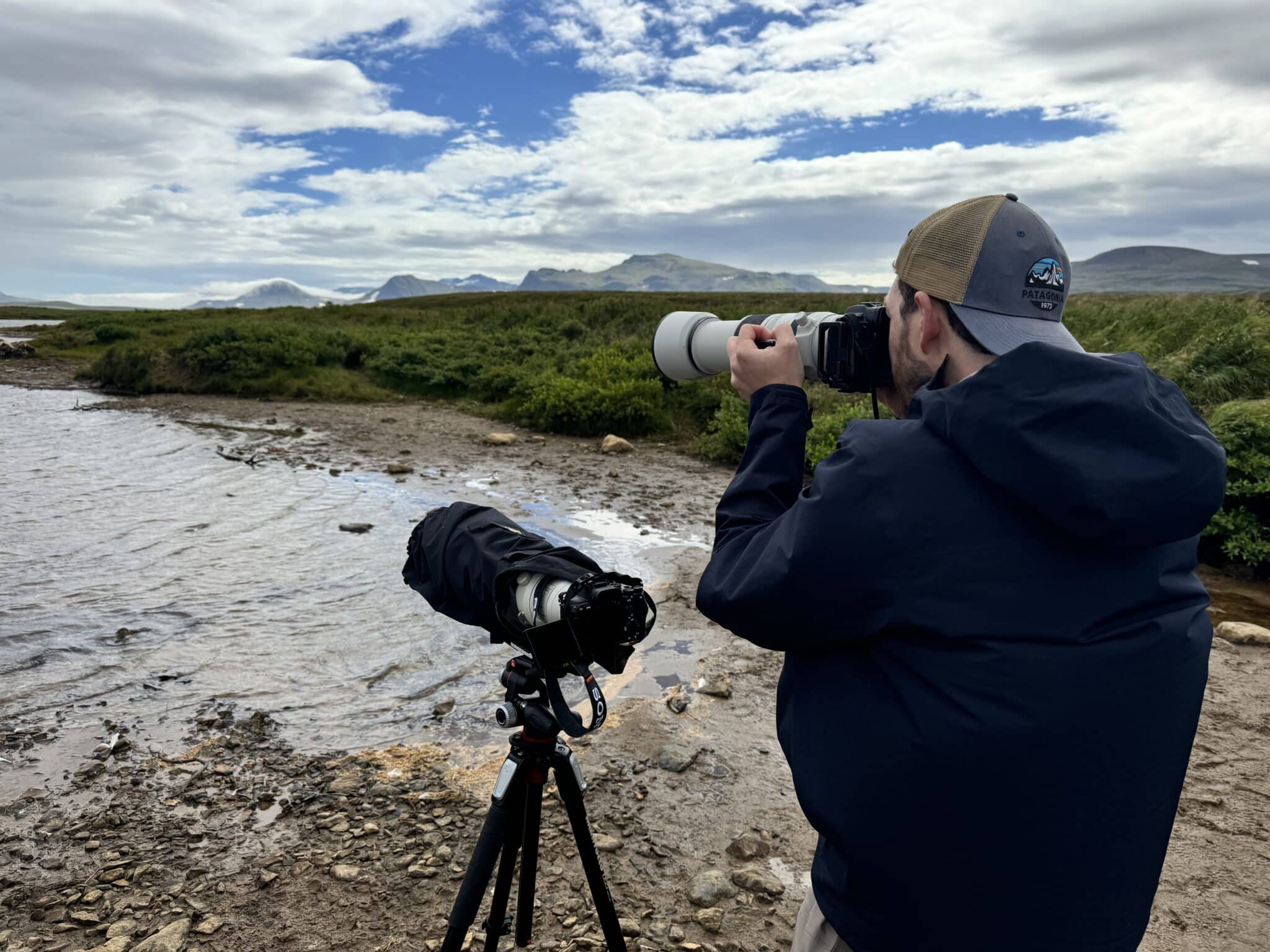 The Best Cameras for Wildlife Photography (Plus Entry Level Options) in ...