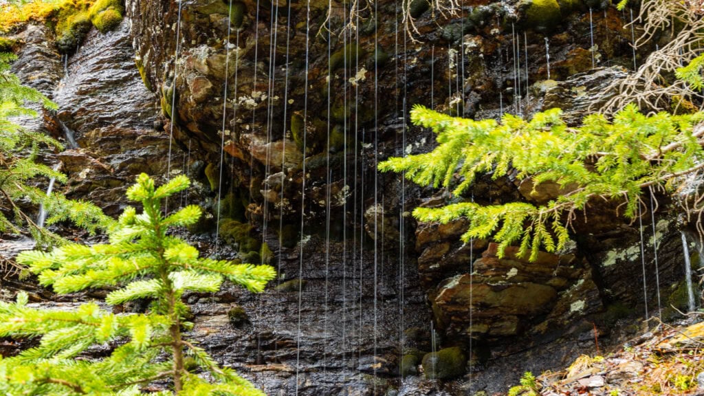 water dripping down along the trail