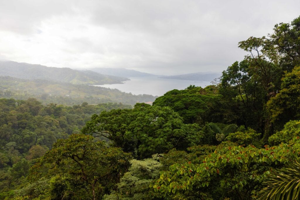 looking out at lake arenal from the sky adventures hanging bridges hike