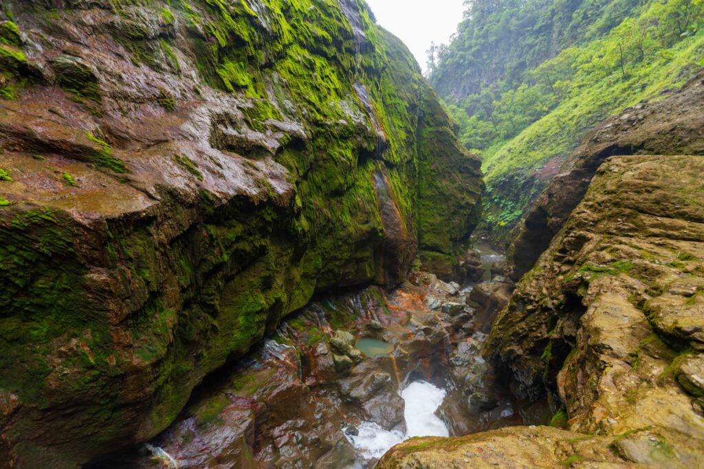 downstream of catarata del toro in costa rica