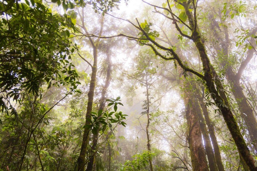blue falls hike in costa rica