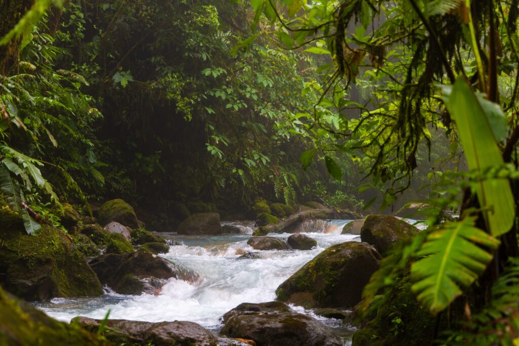 blue falls hike in costa rica