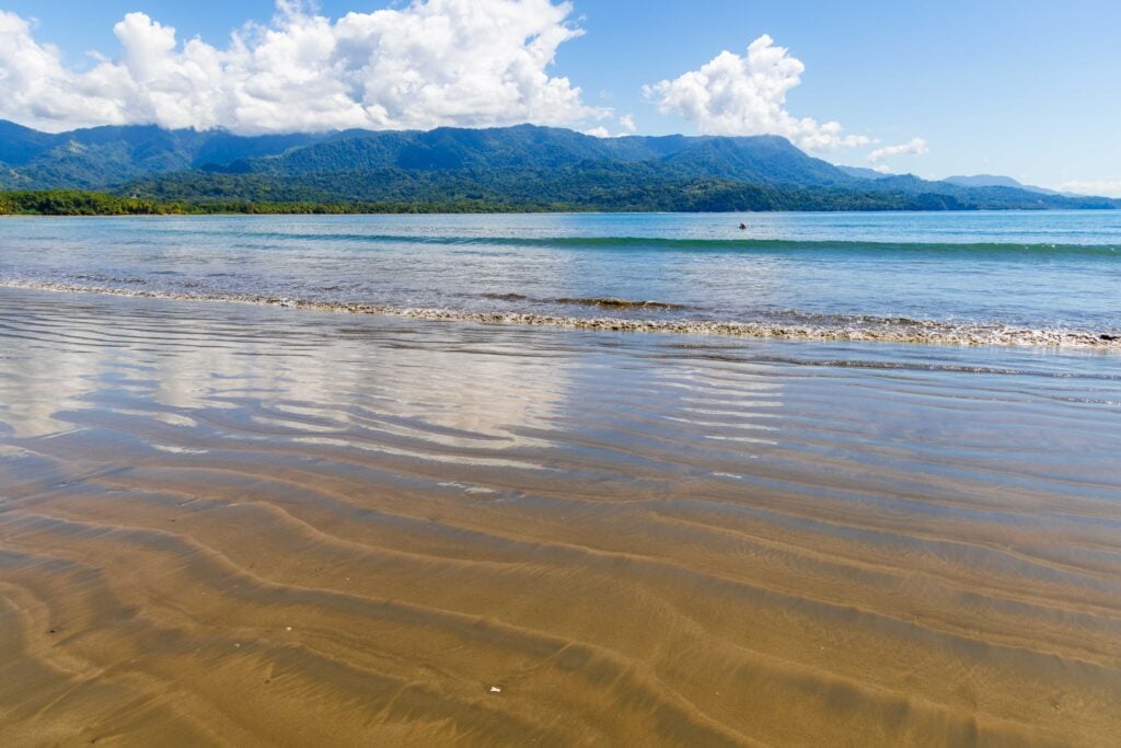 the sandy beaches near uvita