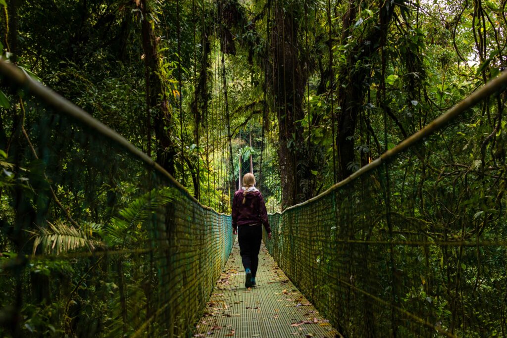 a woman walks on a hanging bridge in the costa rican forest