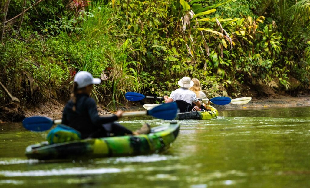 kayakers enjoying the mangrove tour in costa rica near quepos