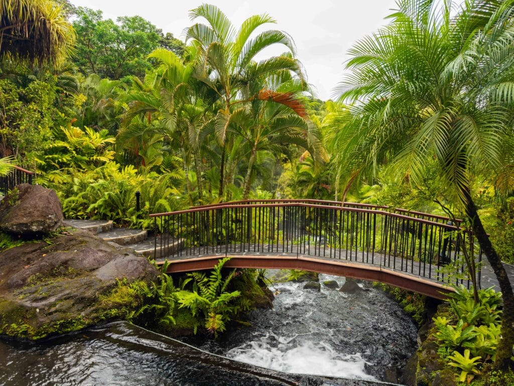 tabacon hot springs resort