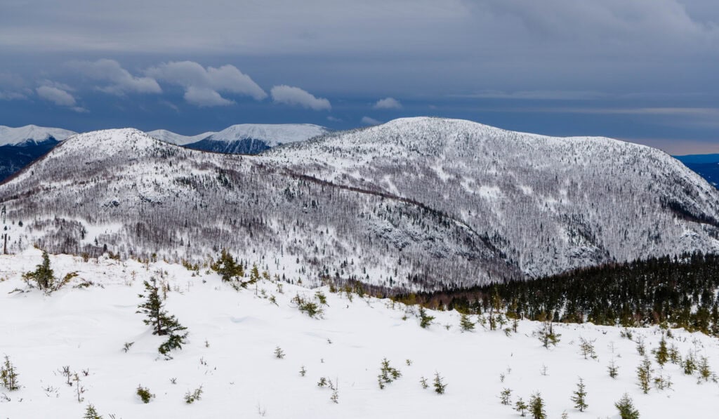 the peaks nearby ernest laforce in gaspesie national park