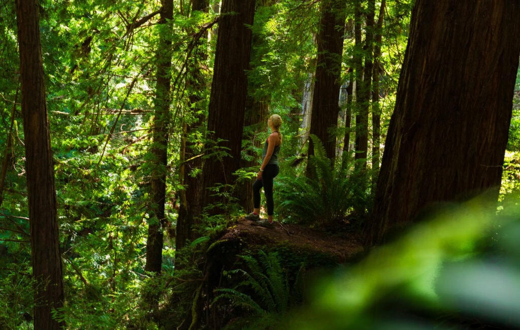 a woman stands on the edge in the forest