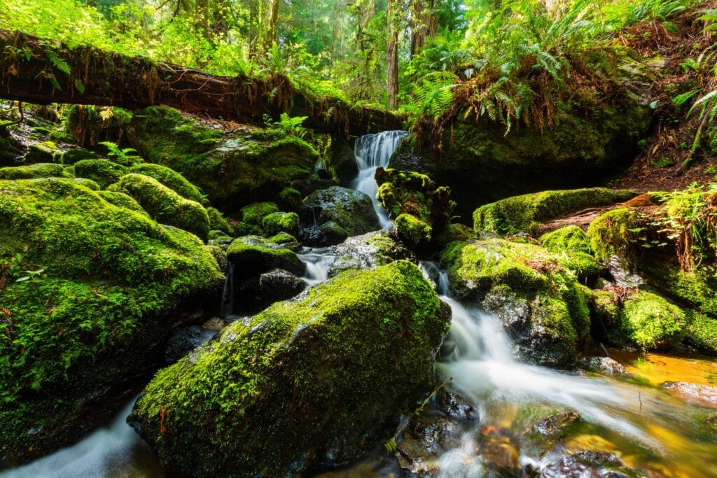 a small waterfall with green moss on the rocks