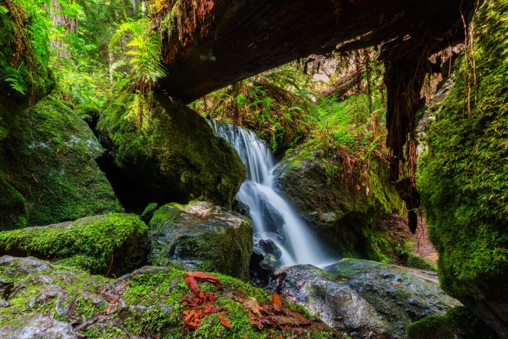 a small waterfall with green moss on the rocks with a log above
