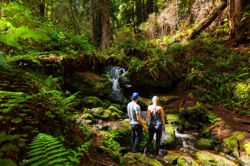 two hikes hold hands while looking at trillium falls on their redwood national park itinerary