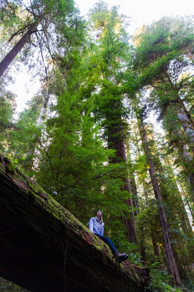 a woman wearing a white jacket sits on a tree trunk