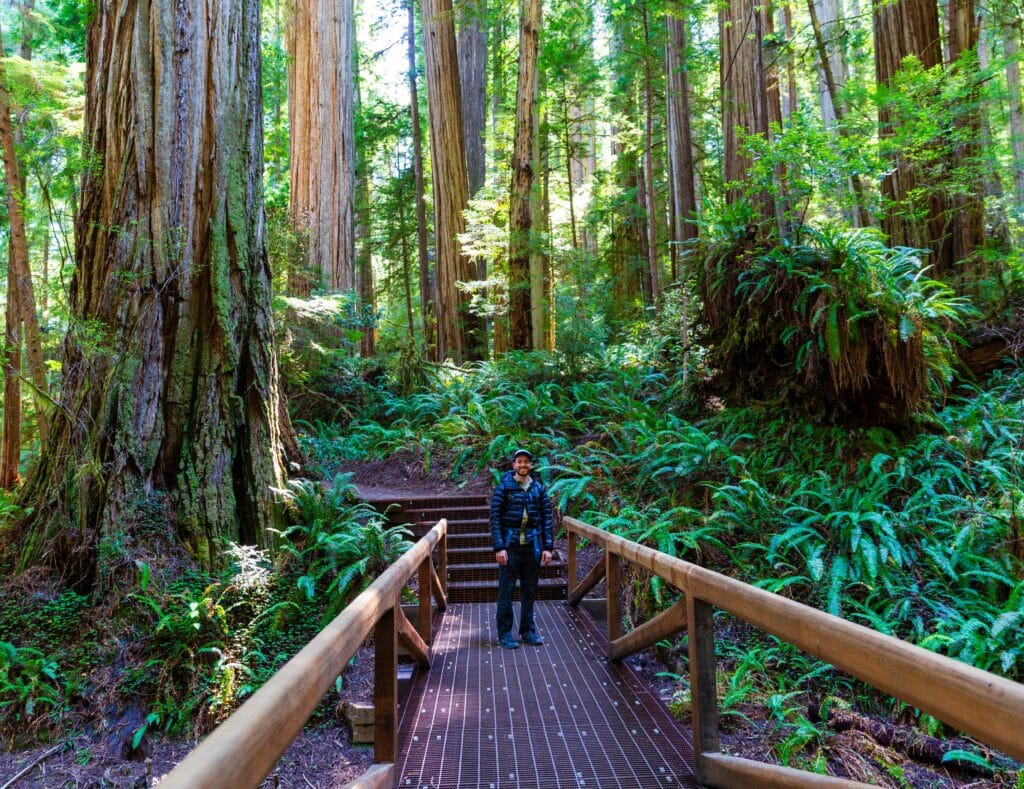 the author smiles at the camera on a bridge near the grove of the titans, a must visit on your redwood national park itinerary