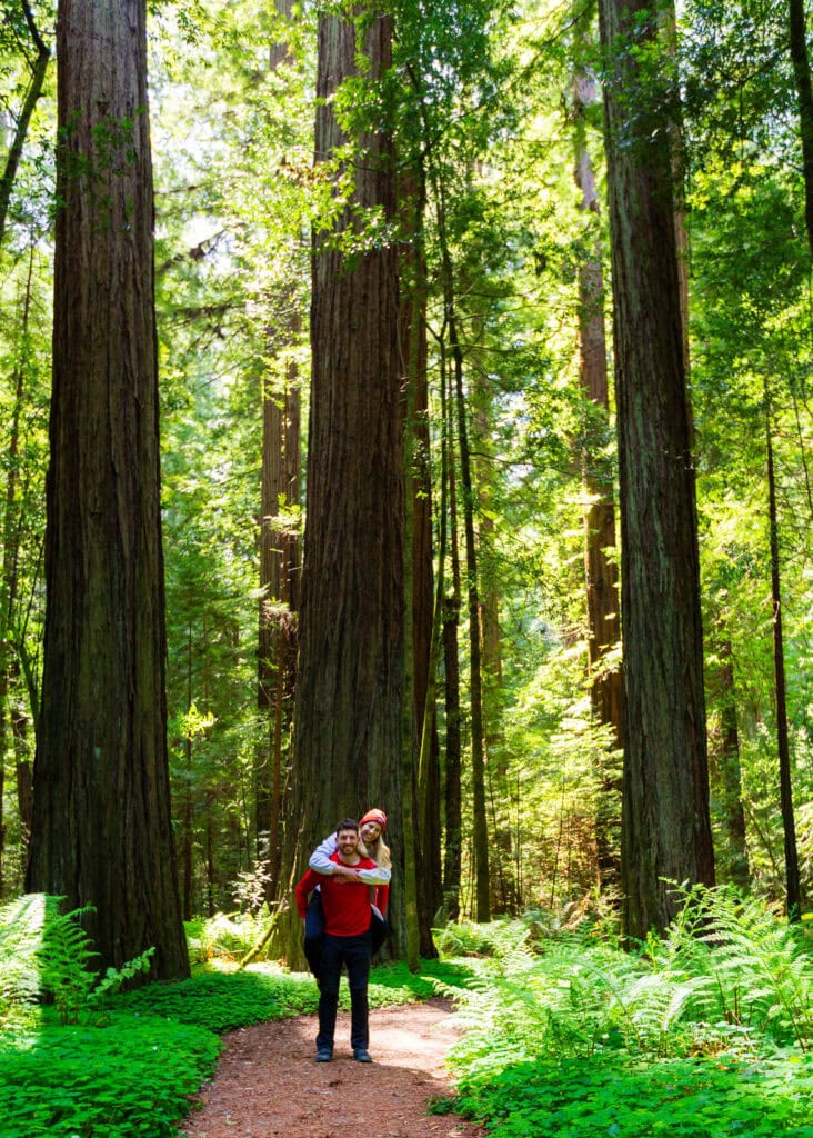a male hiker holds a female on his back during a photo surrounded by tall redwood trees