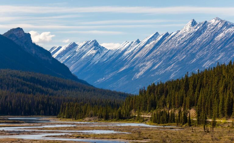 jasper national park's iconic mountains above a creek