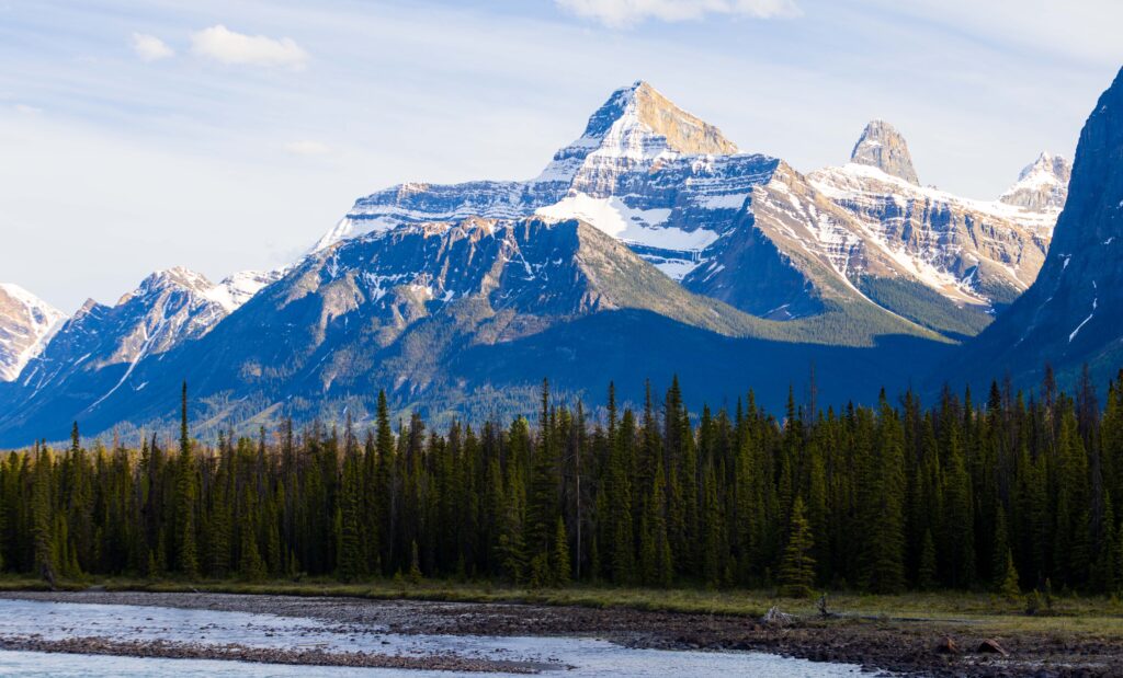 a mountain with trees and a river below