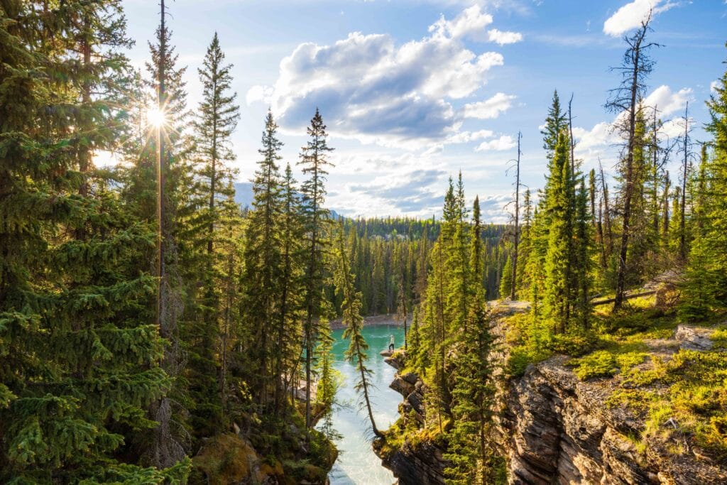 a woman on the ledge above the athabasca river in jasper