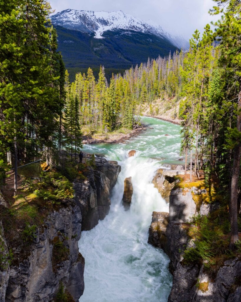 sunwapta falls in canada's jasper national park