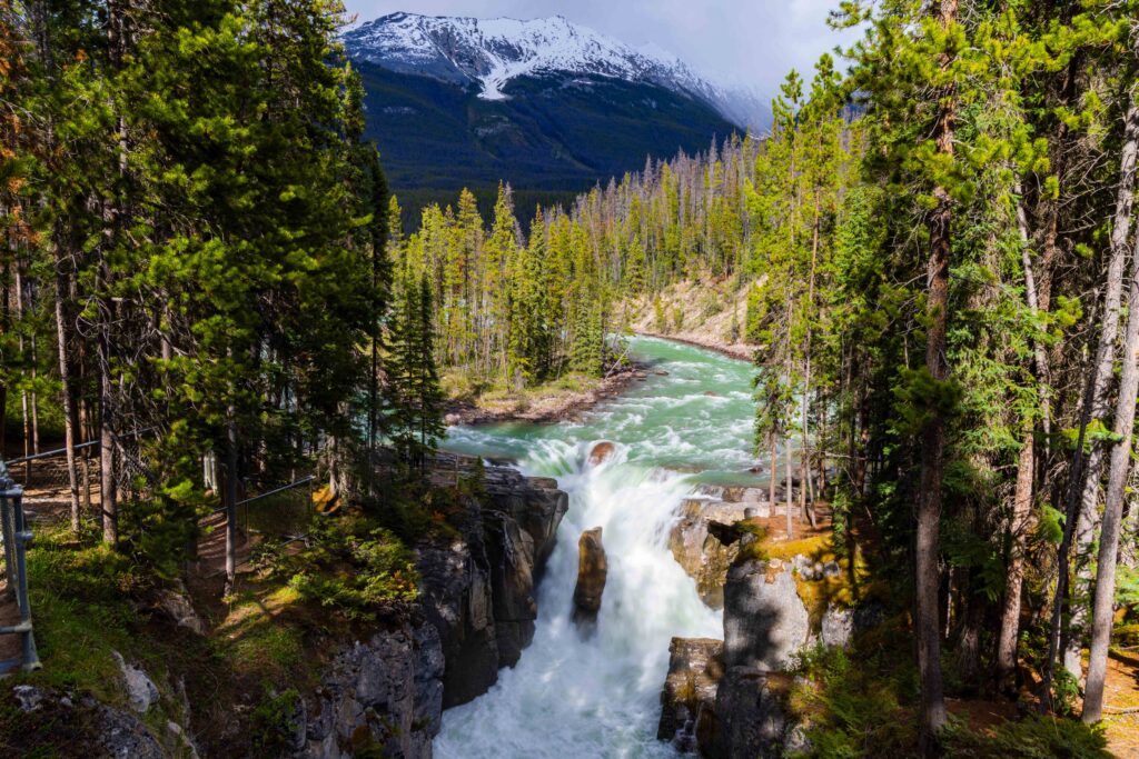 sunwapta falls in canada's jasper national park