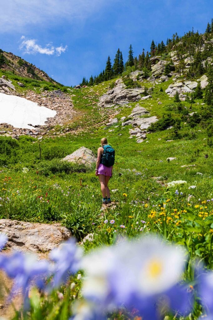 Hiker on a path through a green alpine meadow leading toward rocky mountain peaks