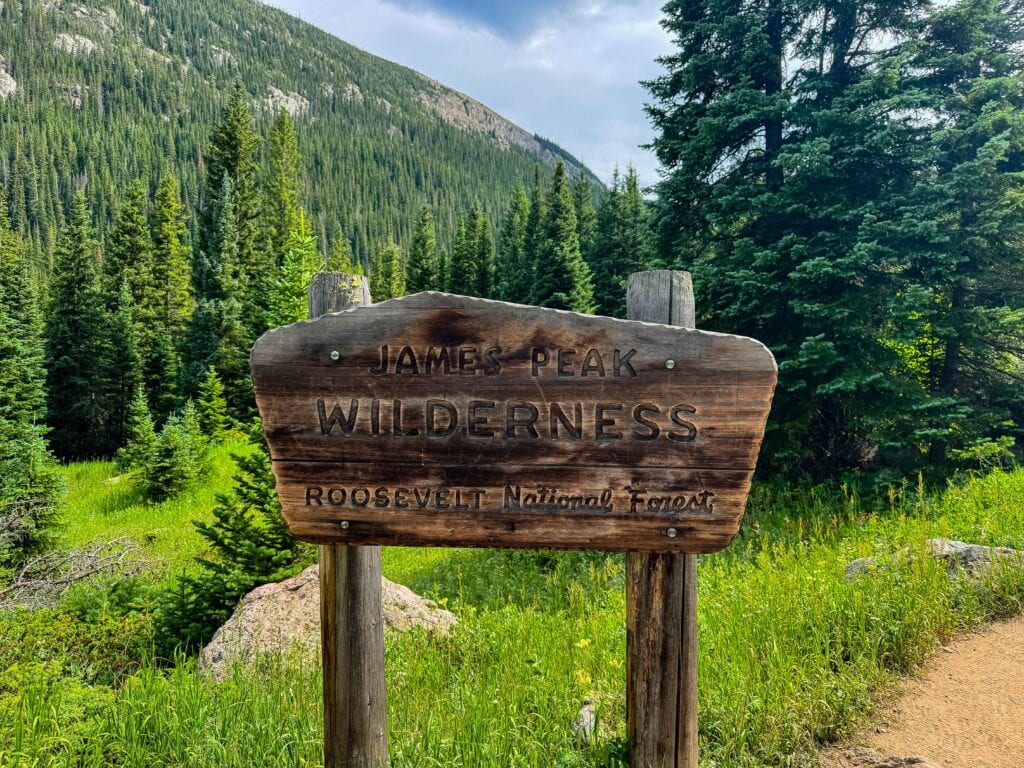 Rustic wooden trail sign in a green forest clearing