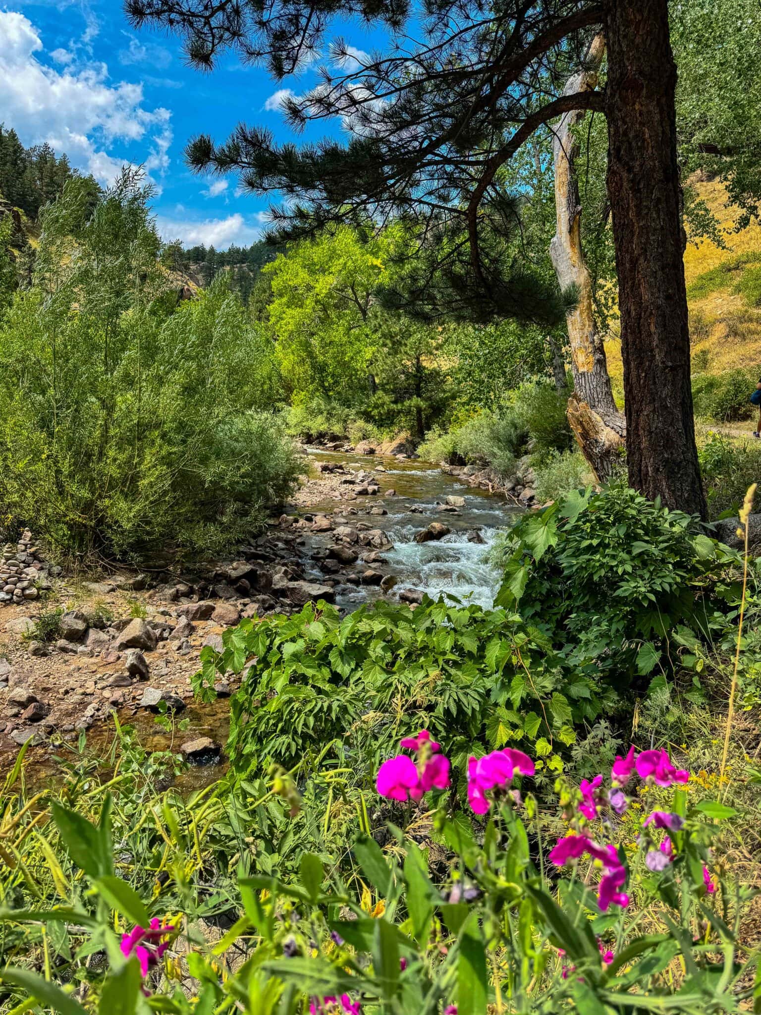 The 15 Best Day Hikes Near Denver That You'll Enjoy (From a Local)