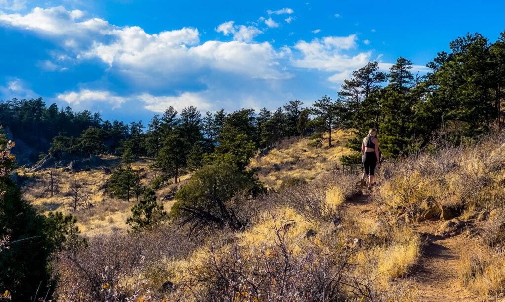 Forest trail winding through pine trees with mountain views and partly cloudy sky